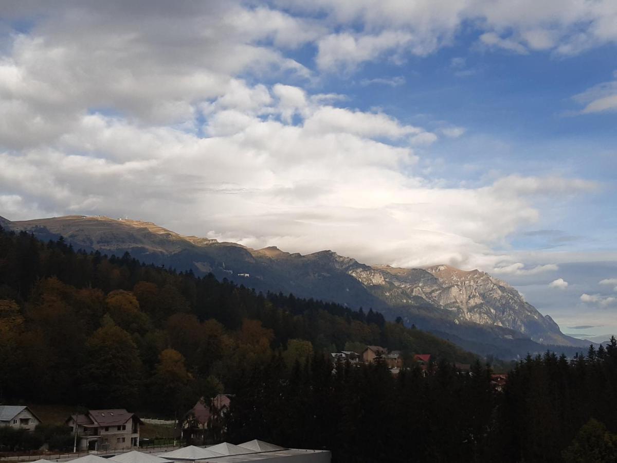 Bucegi View 39 - Colina Marei Leilighet Sinaia Eksteriør bilde