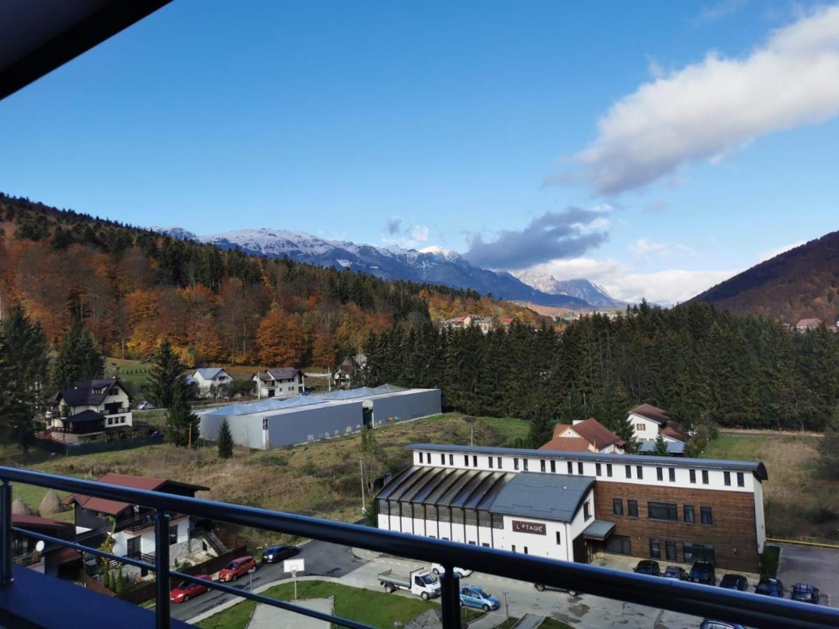 Bucegi View 39 - Colina Marei Leilighet Sinaia Eksteriør bilde