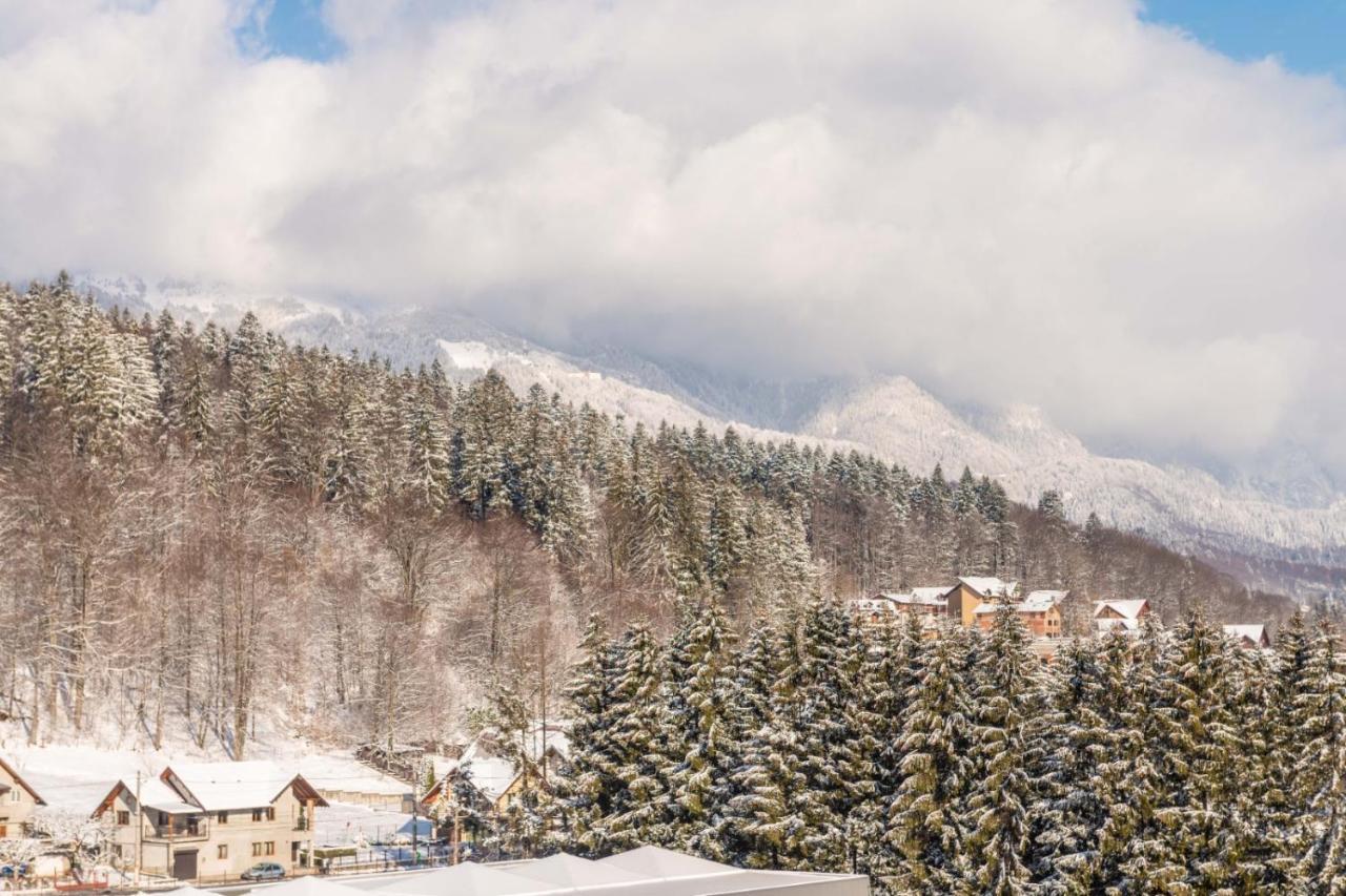Bucegi View 39 - Colina Marei Leilighet Sinaia Eksteriør bilde