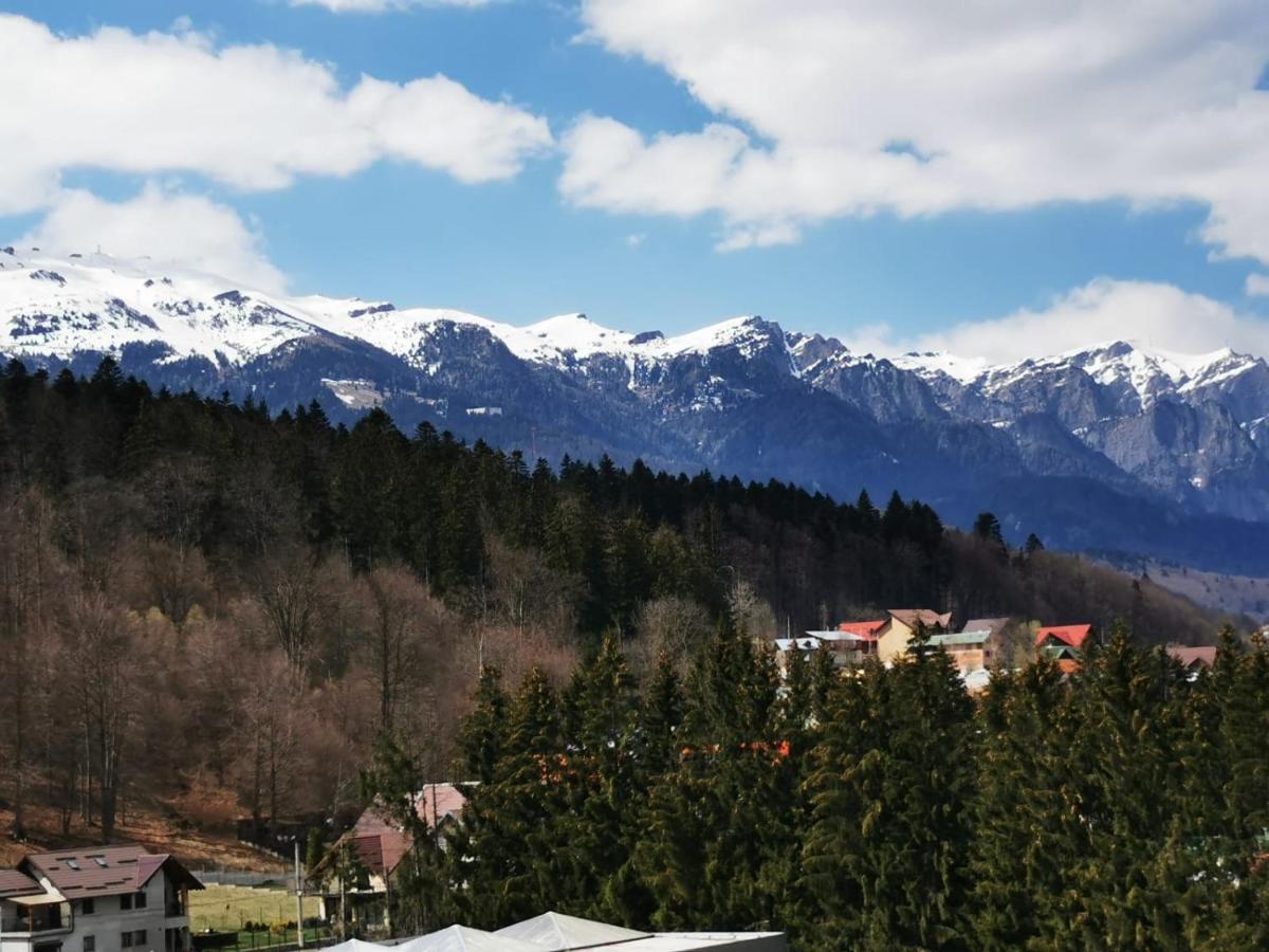 Bucegi View 39 - Colina Marei Leilighet Sinaia Eksteriør bilde