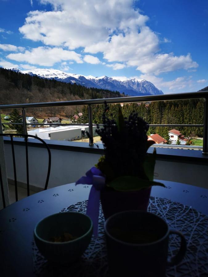 Bucegi View 39 - Colina Marei Leilighet Sinaia Eksteriør bilde
